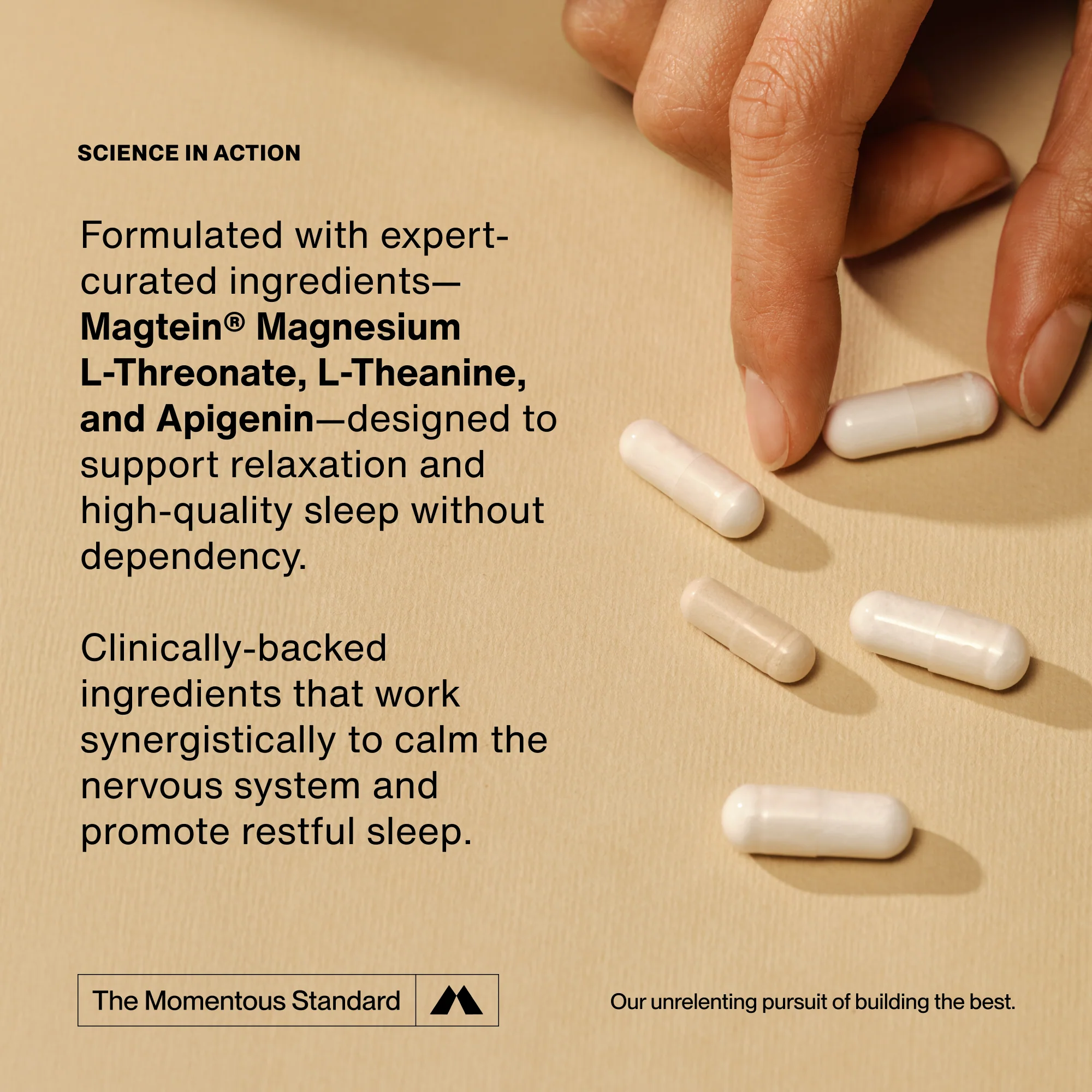 Momentous Nightly Sleep 5-Pack - Image 4